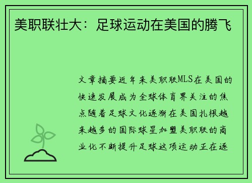 美职联壮大：足球运动在美国的腾飞