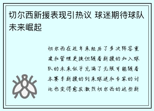 切尔西新援表现引热议 球迷期待球队未来崛起 切尔西新援表现引热议 球迷期待球队未来崛起