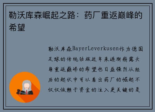 勒沃库森崛起之路：药厂重返巅峰的希望